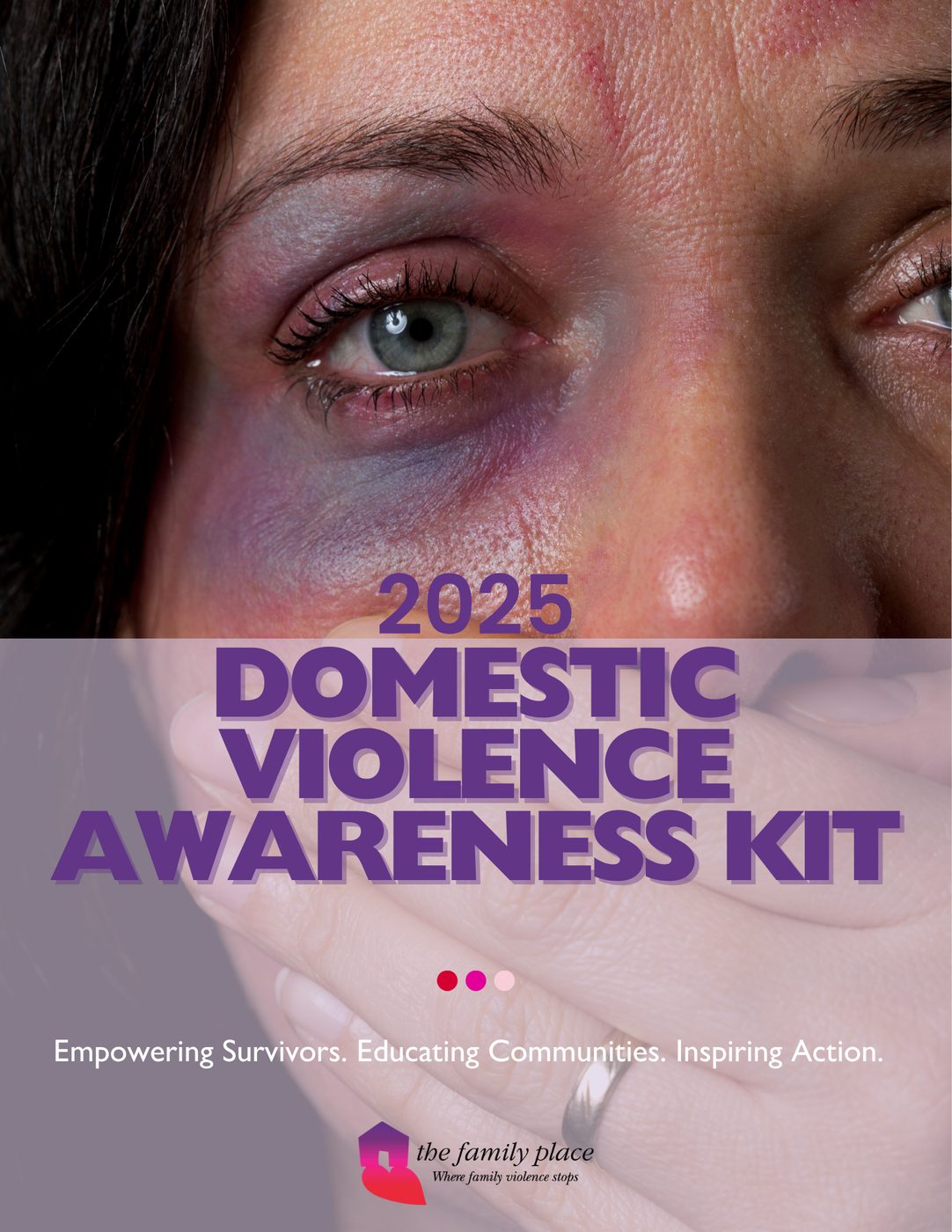 2025 DVAM Toolkit